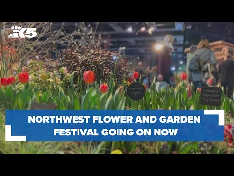 Vídeo: Pacific Northwest Annuals – Flores anuais para os estados do noroeste