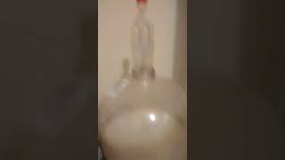 Спиртовые дрожжи Нижний Новгород