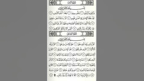 سورة العلق القدر البينة الزلزلة العاديات القارعة التكاثر العصر...الناس القارئ محمد عبد الله الأجدير