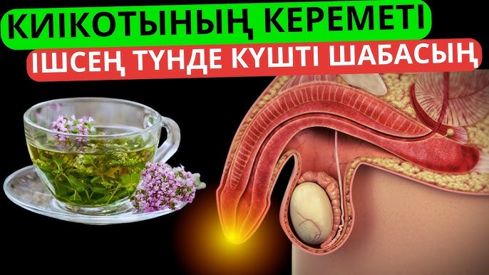 Маридің анальды секс бейне өнері