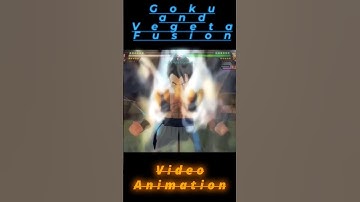 Goku and Vegeta Fusion | Video Animation : Dragon Ball Heroes - DBZ Budokai Tenkaichi 4