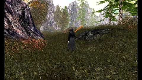 Screenshots from a scrapped NWN1 server (Wake)