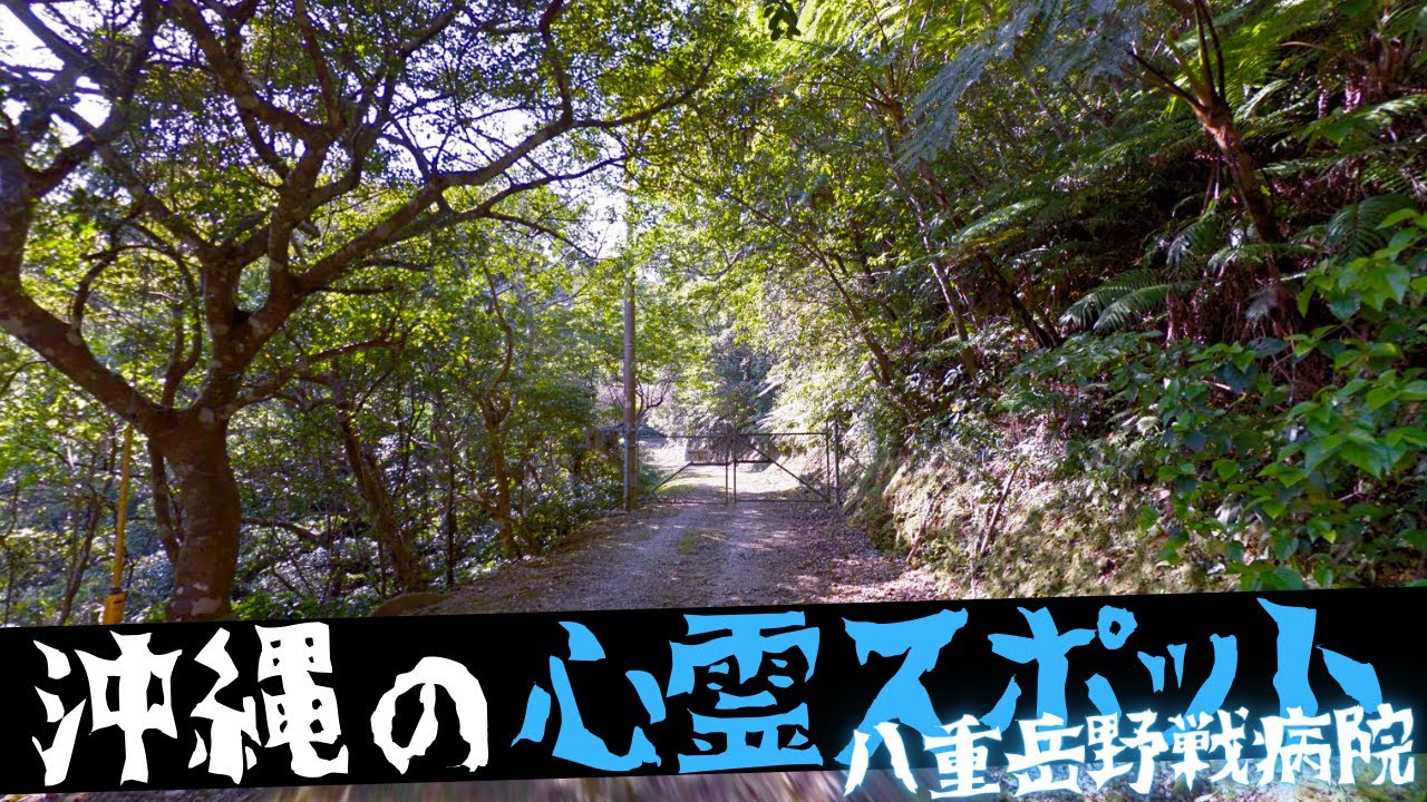 沖縄県国頭郡の心霊スポット　八重岳野戦病院跡