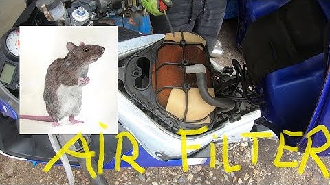 YAMAHA YZF600R R6 Air filter change,byttet luftfilter,den Luftfilter gewechselt,cambiato filtro,4K