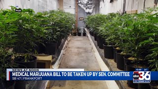 Bill that would legalize medical marijuana in Ky. passes committee, heads to Senate