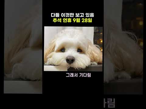 추석 연휴 9월 28일 쉬냐 안 쉬냐 정리