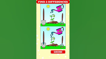 Speed challenge: spot the 3 flaws! #1080 #findthedifference #spotthedifference #脳トレ #間違い探し
