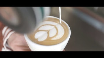 The Java Coffee Company - Promovideo Opleidingen
