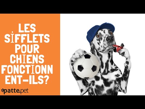 Vidéo: Les effets des sifflets de chien