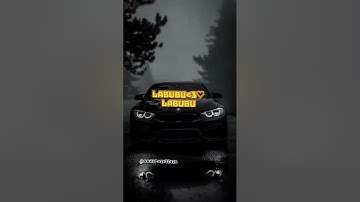 Labubu Labubu♡🎀✨️🌷🦋 #funk #remix #soulpalette #relatable #bmw #labubu #latest #edit #cars #love