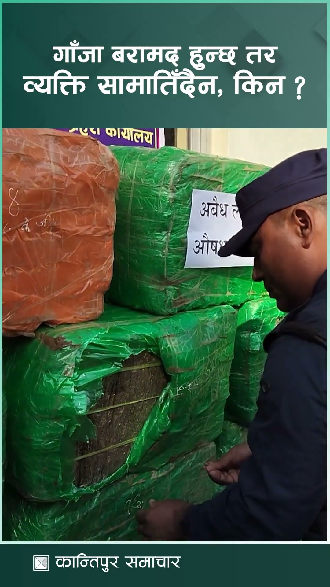 गाँजा बरामद हुन्छ तर व्यक्ति समातिँदैन, किन ? | Kantipur Samachar