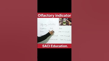 The best examples of olfactory indicator #shorts