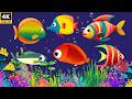 4k Bedtime Lullaby for Babies, Kids &amp; Parents😍Animation🐟Fish lullaby🐟Calming Fishes #44 #lullaby