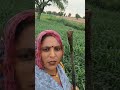 स्प्रे सीजन #farmingjyotivlogs #trading #farming #reels #sorts #veel #kisan #tractor #farming #reels