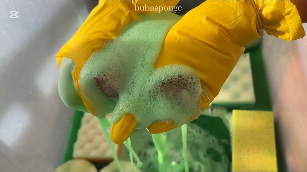 Mini sponge squeezes💕