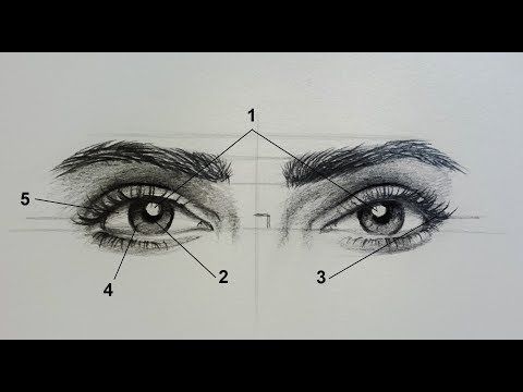     رسم العيون بالرصاص