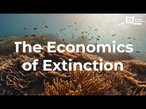 The Economics of Extinction: Coral Reefs