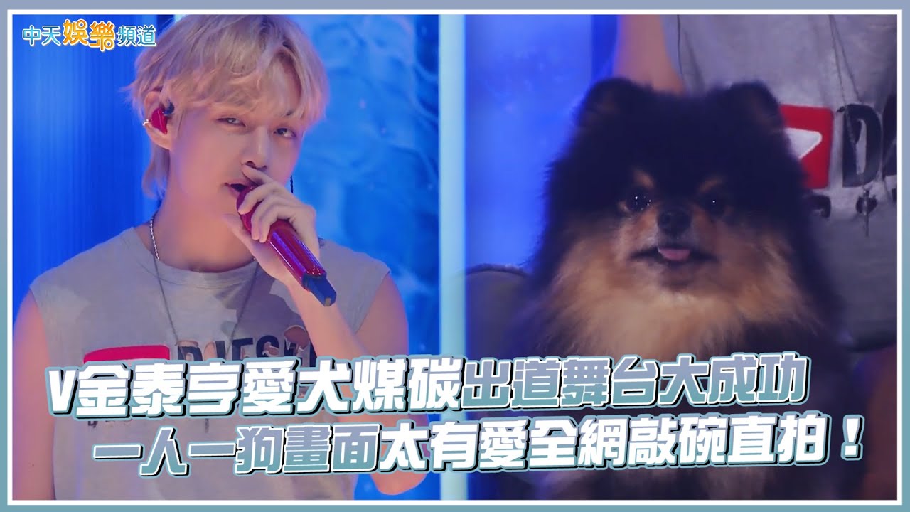 【撩星聞】BTS V金泰亨愛犬煤碳出道舞台大成功 一人一狗畫面太有愛全網敲碗直拍！