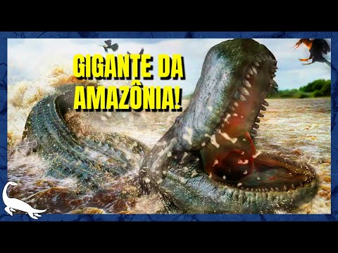 Vídeo: Quais eram os antigos crocodilos (crocodilomorfos)? Antepassados dos crocodilos modernos