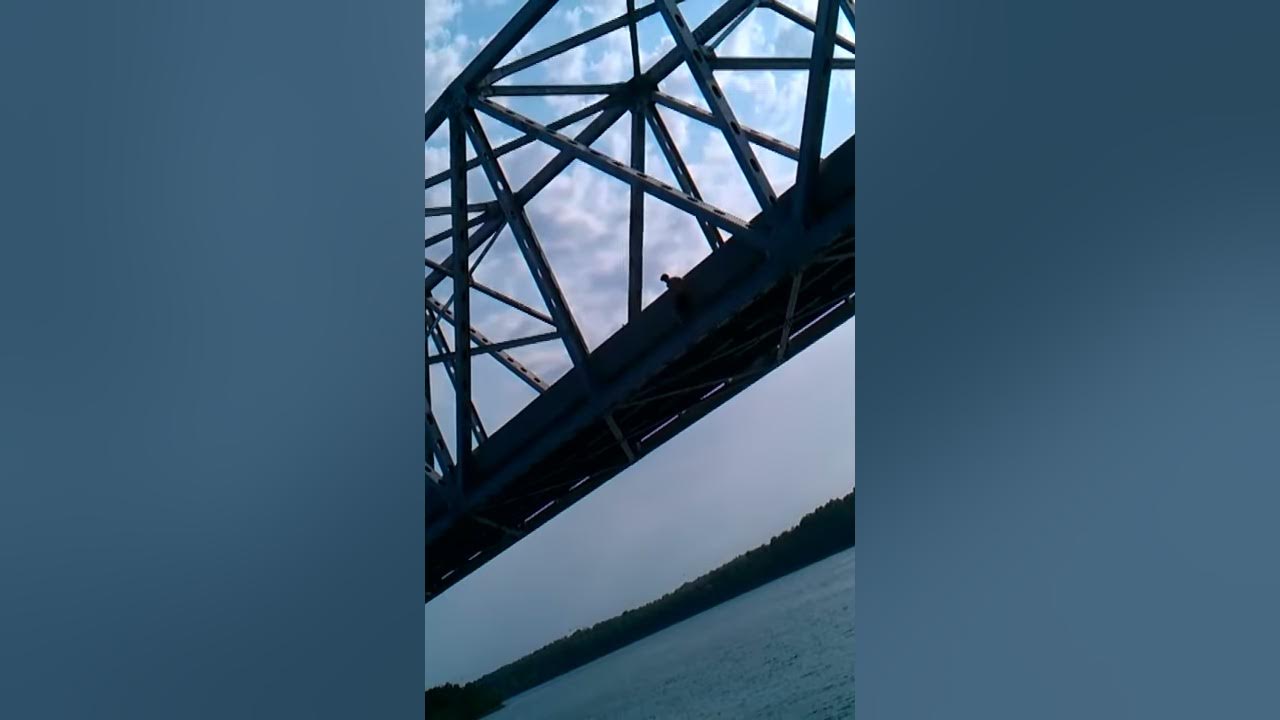 Shell knob bridge dive YouTube