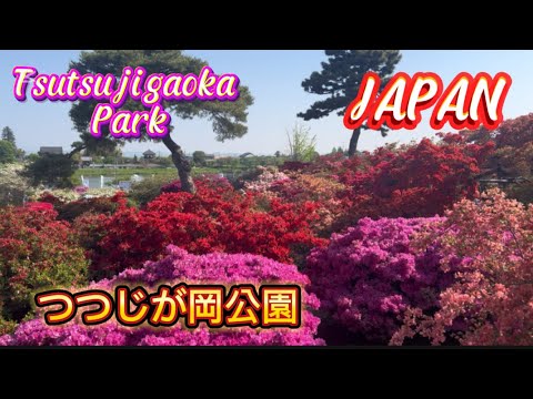 Tsutsujigaoka Park -SANTANS Flower Japan#1