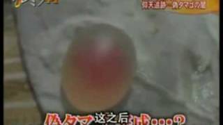 Investigation of fake eggs in China. by FujiTV Investigation of fake eggs in China. by FujiTV