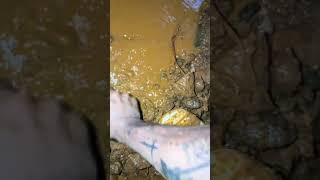 Mining with GM1000 #metaldetecting #gold #shorts #shortvideo #short #shortsfeed #mining #part2