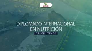 Diplomado internacional en nutrición de cultivos  👨‍🌾🌽🌾