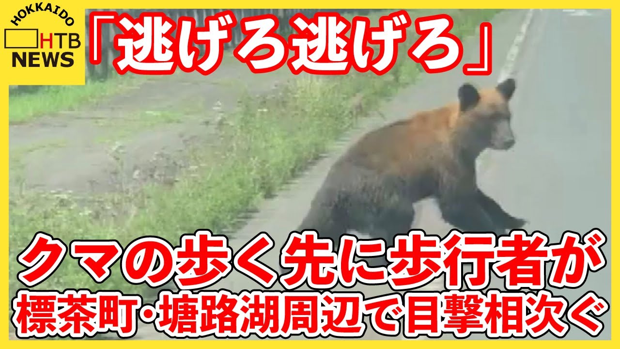 逃げろ逃げろ」クマの向こうに歩行者が…標茶町でクマ目撃相次ぐ 湖を 