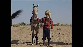 Türkmen Atları Ahal Teke Atları