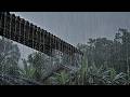 If You Stil Can`t Sleep, Try This | Rain Sounds For Sleeping, Insomnia & Stress Relief