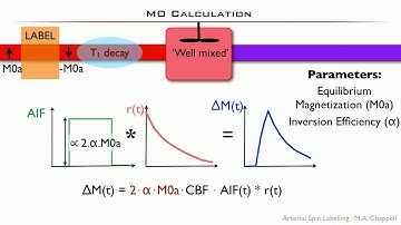 ISMRM MR Academy - ASL Post-Processing & Modeling