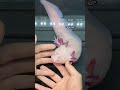 World's BIGGEST Axolotl 😱 (Super Rare Axolotl)