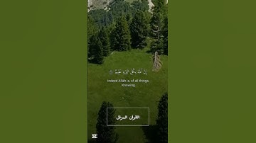 #القارئ ياسر الدوسري#سورة العنكبوت# آيه 60