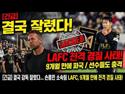 [긴급] 결국 <strong>감독</strong> 잘렸다... 손흥민 소속팀 LAFC, 9개월 만에 전격 <strong>경질</strong> 사태!