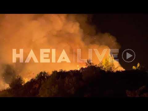 ilialive.gr - Μεγάλη πυρκαγιά στην Κορυφή 1