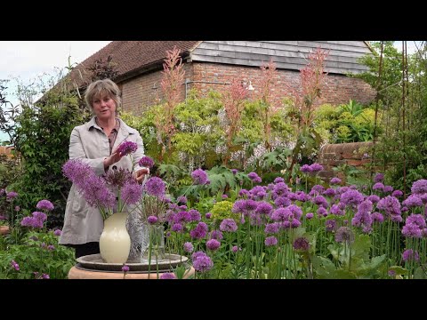 Jardiner  la maison avec Sarah  Alliums prfrs pour la couleur de mai  juillet