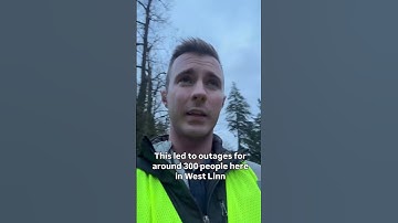 West Linn loses power after large tree crashes down onto power lines