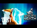 Spirit Of The North : Test PS4/Switch. Le jeu avec le renard là...