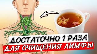 Как очистить ЛИМФУ 1-й заваркой: ушли отеки и вес, вернулась энергия и даже память...