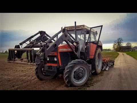 QQ POD KUKURYDZĘ CZYLI ZETOR 8145 & AGREGAT TALERZOWY EURO MASZ W AKCJI 😎