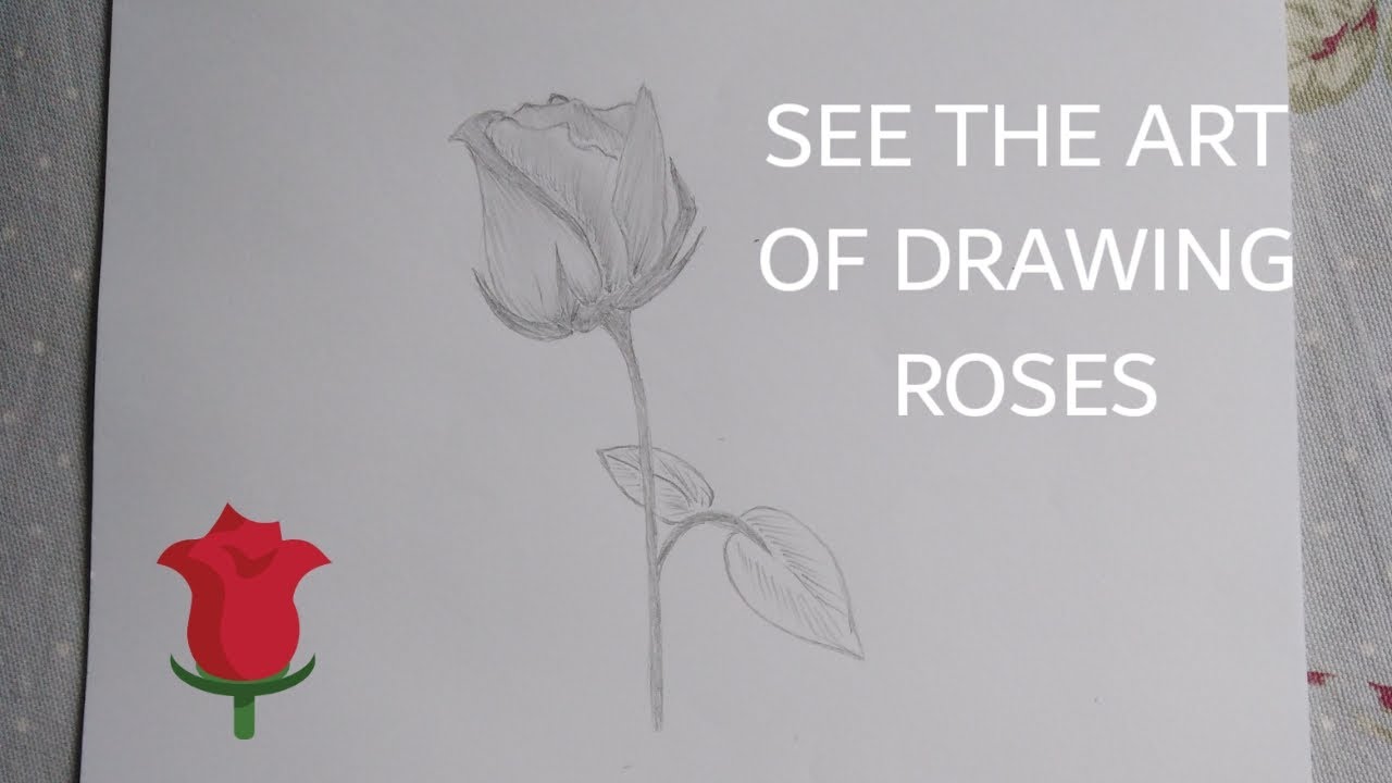 People Drawing Roses The art of drawing roses - YouTube