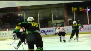 女子國際冰球錦標資格賽:南非 VS 香港 20150218-7