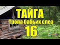 ОТШЕЛЬНИКИ | ЖИЗНЬ В ТАЙГЕ  16 из 16