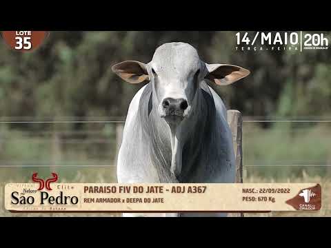 LOTE 35   ADJ A367