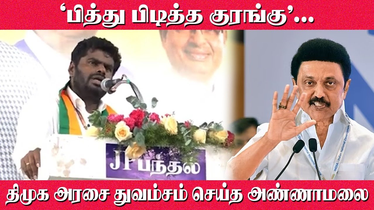 "பித்து பிடித்த குரங்கு" Annmalai Dommed DMK Govt | Armstrong Murder | Stalin | TN Law & Order | BJP