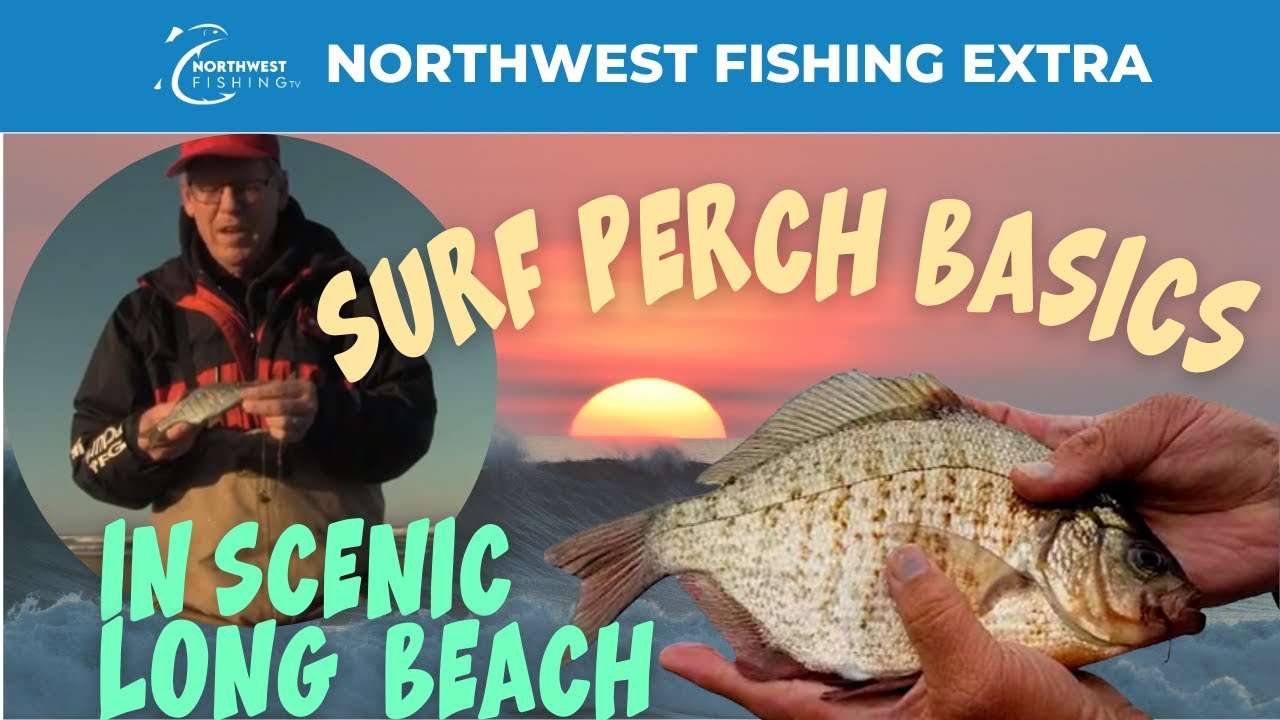 Red Tail Perch Fishing at Long Beach (Surf Perch Basics) 