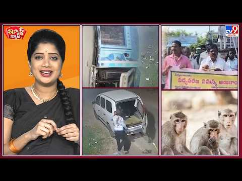 iSmart News: Prayers to Lord Hanuman to end the monkey menace! | ATM means Any Time Loot! - TV9