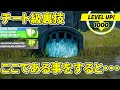 この場所である事をすると無限に経験値が手に入ります 無限XP チート級裏技まとめ【フォートナイト】レベル上げ 小技 経験値稼ぎ