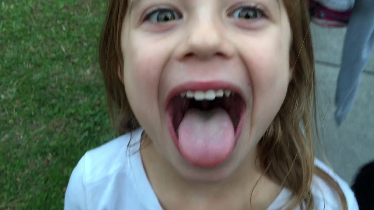 Thanksgiving 2017 in The Great Smoky Mountains YouTube